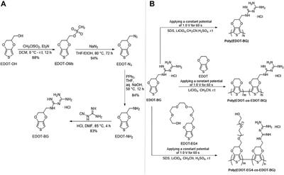 Biguanide- and Oligo(Ethylene Glycol)-Functionalized Poly(3,4-Ethylenedioxythiophene): Electroactive, Antimicrobial, and Antifouling Surface Coatings